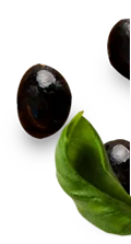 Olive and leaf decoration