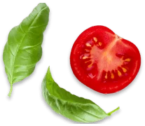 Tomato and basil decoration